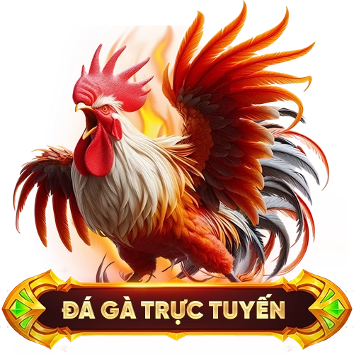đá gà trực tuyến 99OK